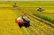 Quy định mới về máy móc được hưởng hỗ trợ giảm tổn thất trong nông nghiệp